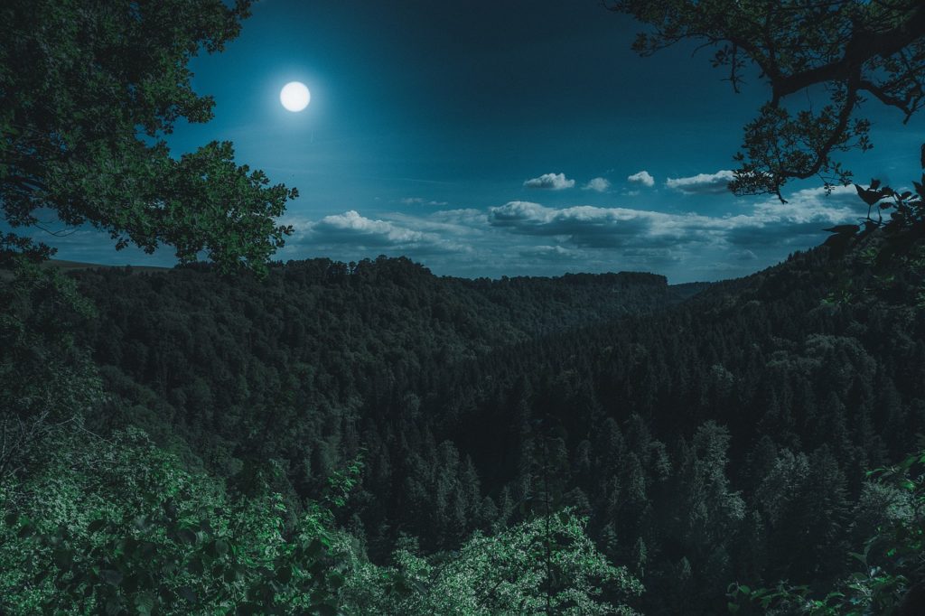 nocturne