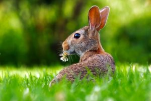 Comment passer de bonnes vacances de Pâques ?