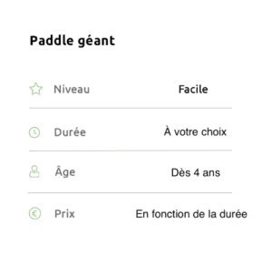 PADDLE-GEANT